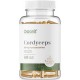 Cordyceps 500 mg -Vege